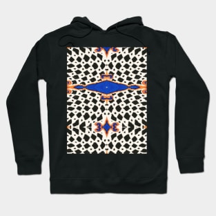 zebra Iznik pattern Hoodie